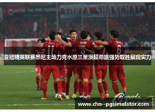 亚冠精英联赛悉尼主场力克水原三星澳超劲旅强势取胜展现实力