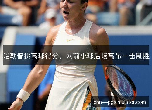 哈勒普挑高球得分，网前小球后场高吊一击制胜