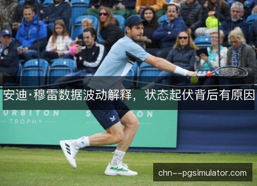 安迪·穆雷数据波动解释，状态起伏背后有原因